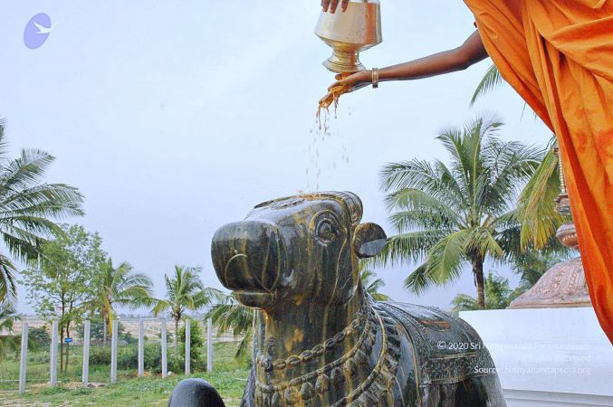 20071008 Photo 249 1KgAmaFO6pK1NMbkC2VQ005fLCybCTF4U.jpg