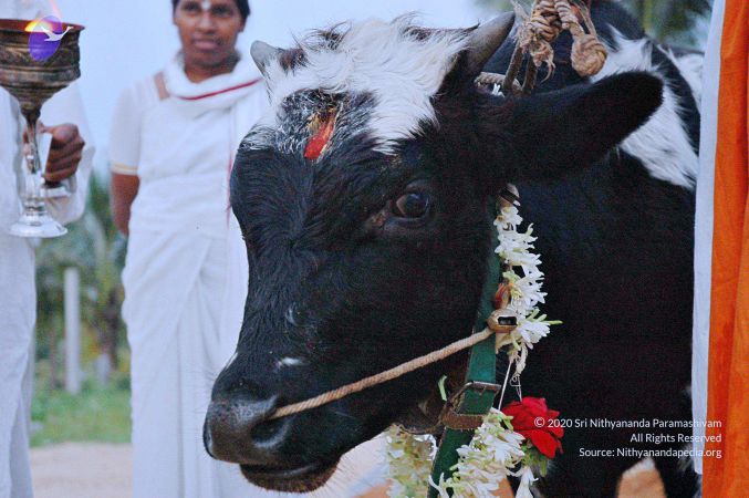 20071008 Photo 24 1 TPlFkmUFze H2N50OCbBGD9dpU7W1BN.jpg