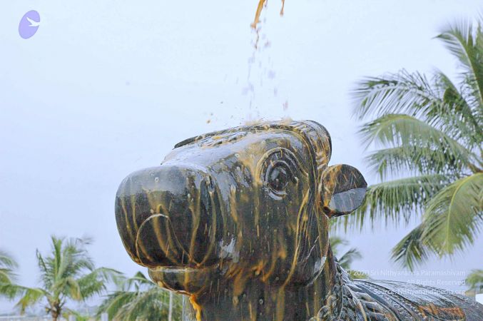 20071008 Photo 250 12Z074e6bfmII8ulhRZ1S5W4iFNIG clK.jpg