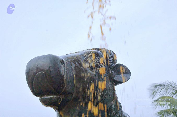 20071008 Photo 251 1SK1jbembIeDGKxHZma5QOiLpoB9NF-l5.jpg