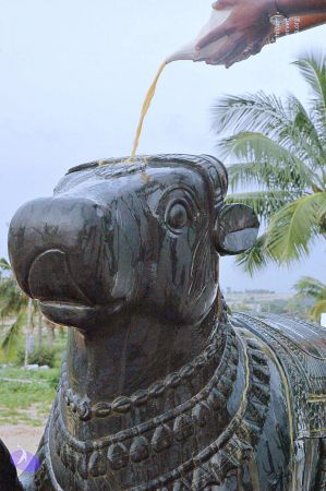 20071008 Photo 254 1sOuvR 6BG PKzFlJBGY7MCWxgO2vHgOo.jpg