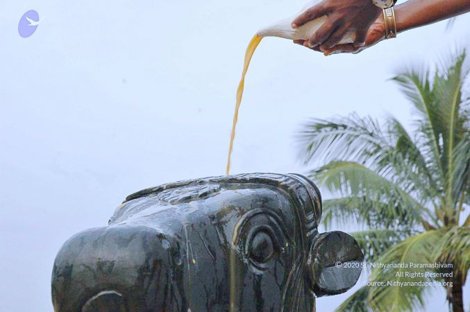 20071008 Photo 255 1j- rMACViX5t4k-uK9Y586-kFbo5yEBO.jpg