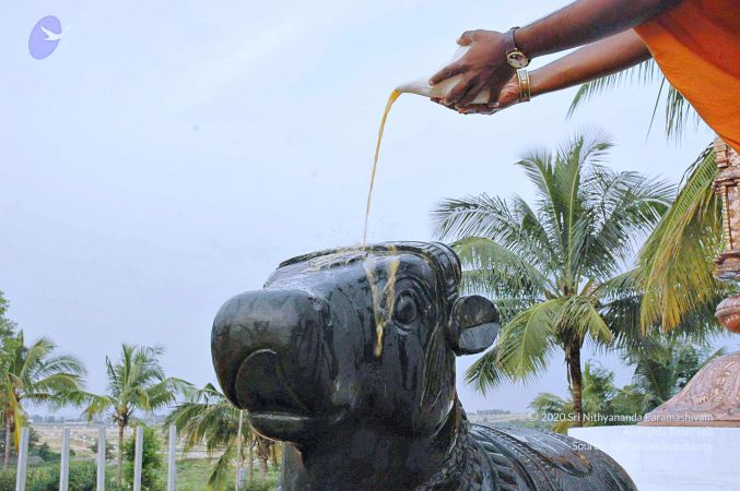 20071008 Photo 256 1bd o2eNoRfslfb01XA rvyS 6eJRDMOl.jpg