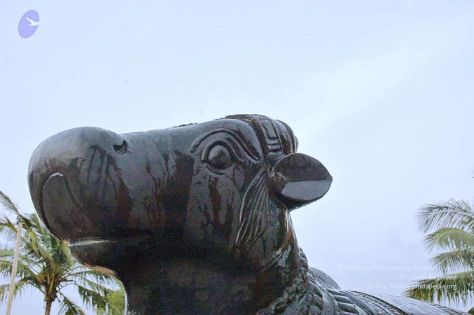 20071008 Photo 257 14XzH8HY TYzBiWotrCOdNooJLBVx76xw.jpg