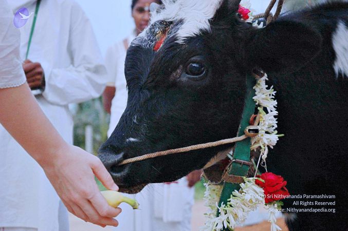 20071008 Photo 25 1Mcdp3u8cn7pOnPoY8Wlngu5p1RRkElck.jpg