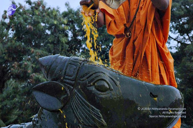 20071008 Photo 266 1jgNjDH0cbrBC K5V9S6xd7VWeJMyi0jP.jpg