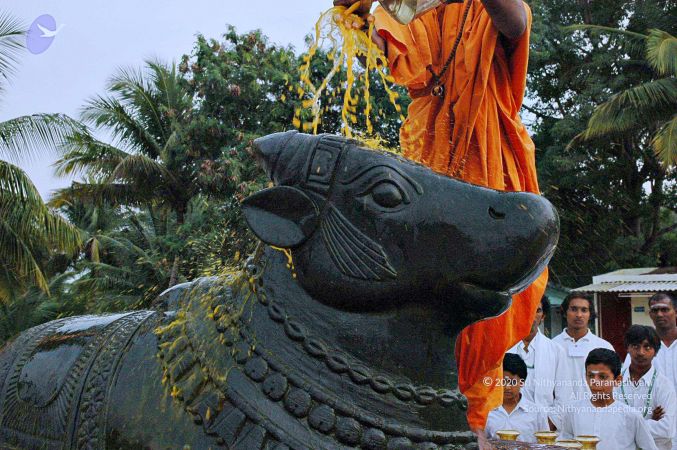 20071008 Photo 267 15ssqo709YR AEQKe1Iq54qzVHlcp22Qn.jpg