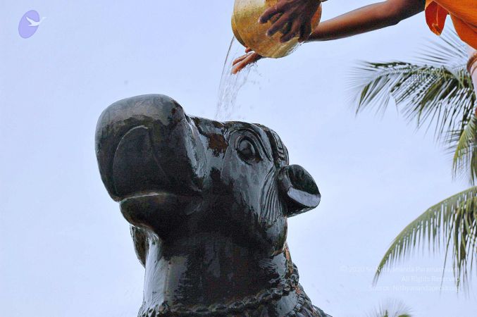 20071008 Photo 270 10r xhyQNcvN3rNlSwbP3HKfXM0vMd8gP.jpg