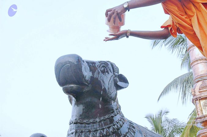 20071008 Photo 272 1uiwodcyy5SNfueLQD11EHkaY6zXHY11L.jpg