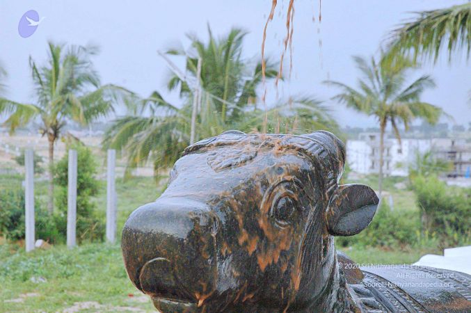 20071008 Photo 277 1 9AQalt7-74JUJjIXFCSXGeF4gPZV4UJ.jpg