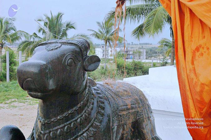 20071008 Photo 278 1YuFadwHWVrE8FDkL4kz4ioXmdVM5cSQs.jpg