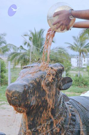 20071008 Photo 279 1SpGHHIbmJAc00O5KiPQecFGF5taCtSw6.jpg