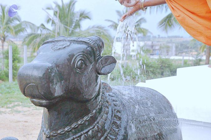 20071008 Photo 281 1qvLU217mHLwRm9wKiNnlE2kBKPMX Tsw.jpg