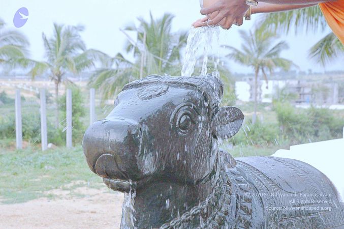 20071008 Photo 282 1yKDQdOsVMdMRtsUO5nTc4tCyg9Q9yRO .jpg