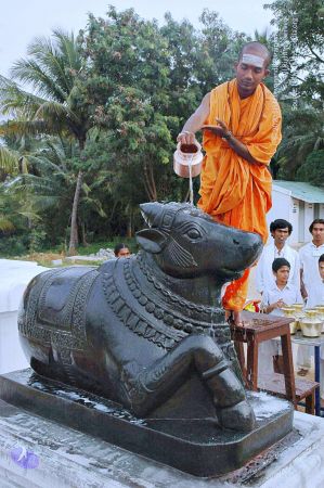 20071008 Photo 289 14Te4KIh0LBhuZZlkr8VXQbVMzx5eyTtZ.jpg