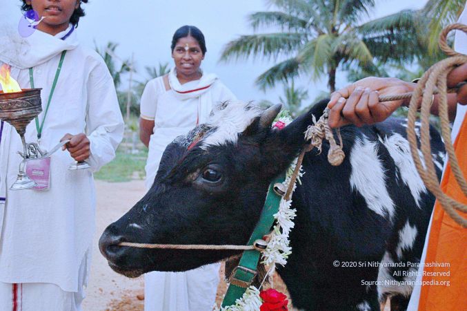 20071008 Photo 28 135WkBBkDj9AQUpGBh5Ll-Qnm0WCT iZ5.jpg