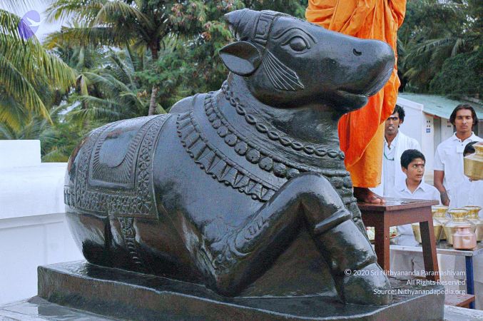 20071008 Photo 293 1Fy4mIRibqlhkmqEycMduz9XzbL9SVoVb.jpg