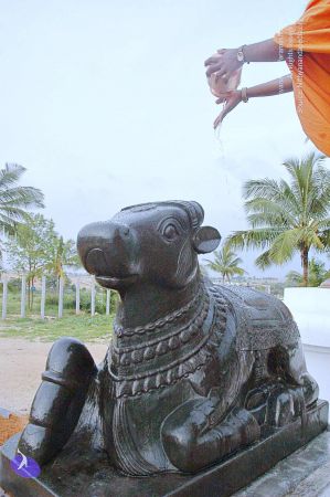 20071008 Photo 297 1t9UuhVyhPvQU4CLdpwEl45Rz oAqcCms.jpg