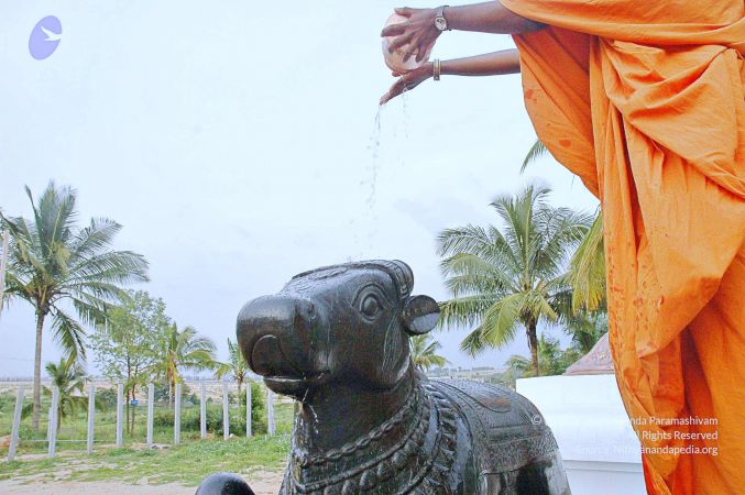 20071008 Photo 298 1jPQgxm6Okk8o-0aJhTDOLT27TIxOQdMa.jpg