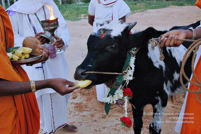 20071008 Photo 29 16oJY-d1di49LUVt0rG2QAu32JFWDZ1fP.jpg