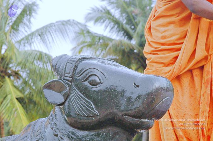 20071008 Photo 300 1cxEXYqQUNgG7eB03CuD -HPoH28vQmHs.jpg