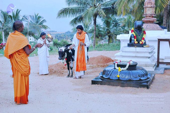 20071008 Photo 39 1hSJg n jtI2oPUEqjC9O1zIrc5w34Gvf.jpg