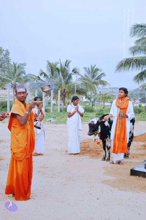 20071008 Photo 42 1MQbkcmXXh2wTcfRSZP2T9z lq2LYdqC3.jpg