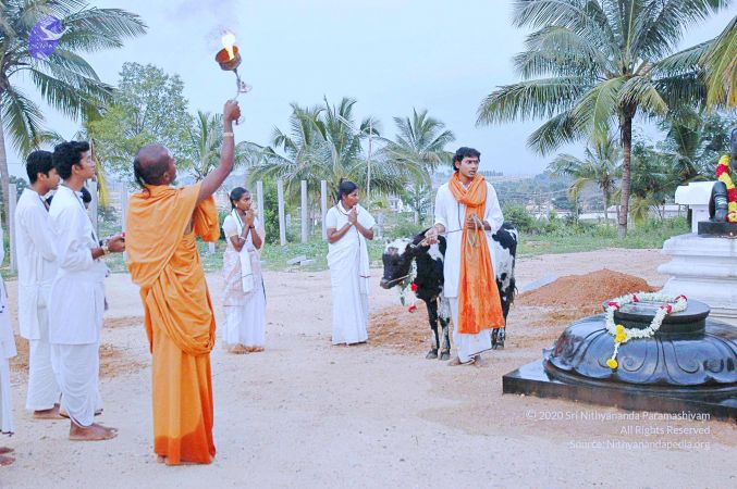 20071008 Photo 45 1LuXOw7GjOuMfSnfY-qTn9NepuEVefvlE.jpg