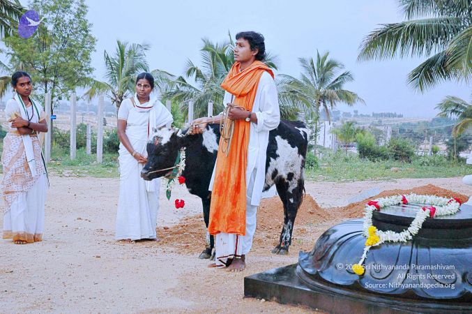 20071008 Photo 48 1DRR6k-LyCGNRp2uOZHgFzeZnoUOscksW.jpg