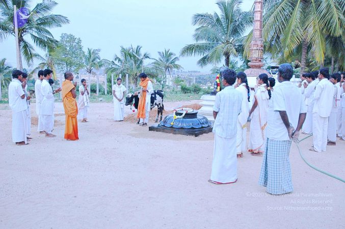 20071008 Photo 50 1Ybp63pHMPyx9uJ1X9CAuIGmZF-V73Msa.jpg