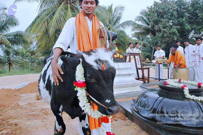 20071008 Photo 61 1MDYR0 4WzDWVUZR-rVgsKvXGxhL1iGC6.jpg