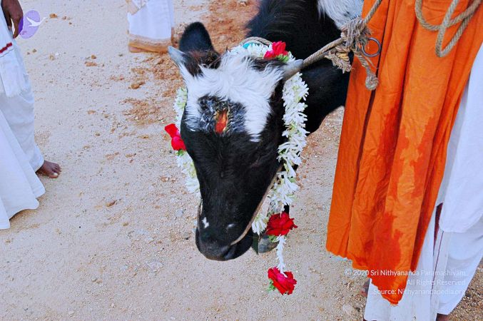 20071008 Photo 63 1q6kRo83BMhLR B6gm1Q72BLl98CU4a6i.jpg