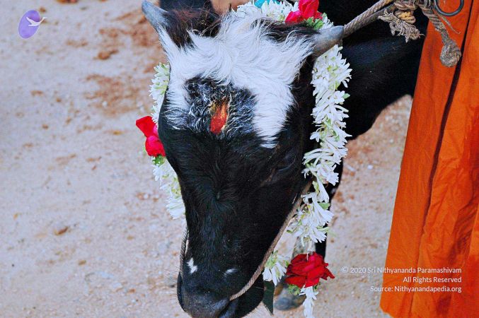 20071008 Photo 64 16n1eryeIifnKXuAyHbLywb72mZb73i1-.jpg