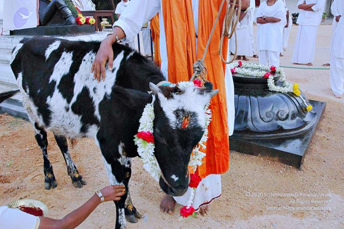 20071008 Photo 68 1JwS0GVmw xht5Vfx1pjhd9QCDMlGudS0.jpg