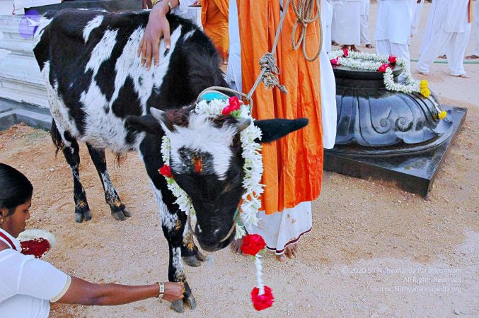 20071008 Photo 69 1Mh9zTHKvu6FA7POrBYuk9WJByyxN6EMx.jpg