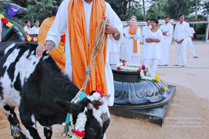 20071008 Photo 70 1GYUTlaaig9BO0X72L-vZMddET62lSacn.jpg