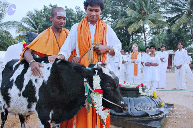 20071008 Photo 71 132kJwDwTjQMsXEbQwHUHTtPPUEzsRbq9.jpg