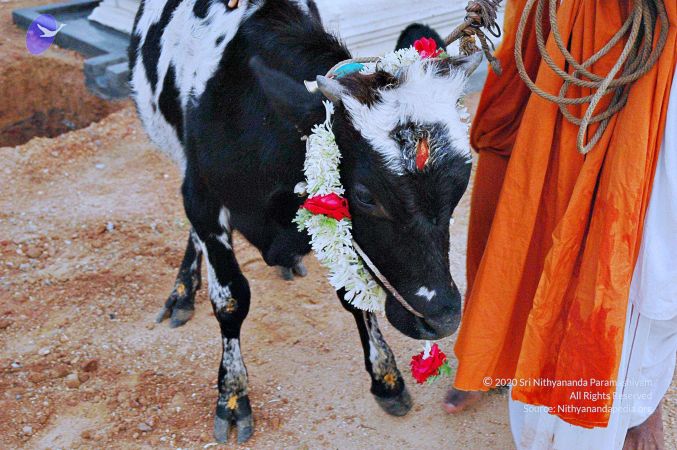 20071008 Photo 73 1tQxF0DFXCIqWo-CnXjS3P0Wb4H-HCqFc.jpg