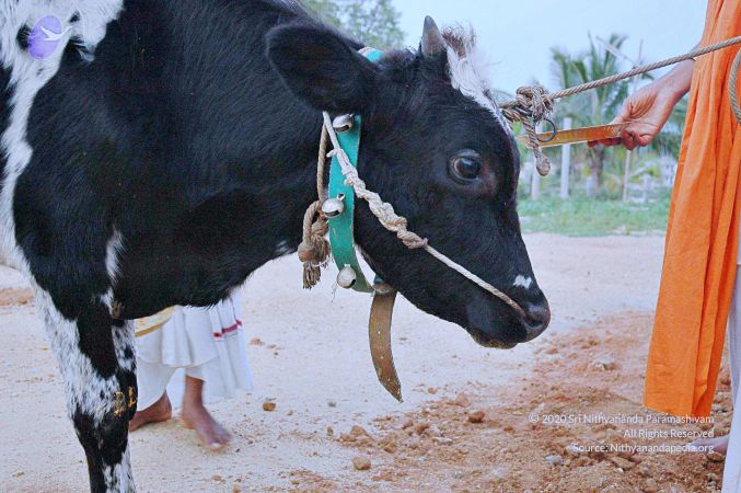 20071008 Photo 76 1AeJIc6TuqlbYbtprmHm ivlZMwbTIZ5d.jpg