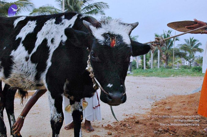 20071008 Photo 78 14JXpJsZP5AUAlnJS3PLDJUfk1rzY3rhi.jpg