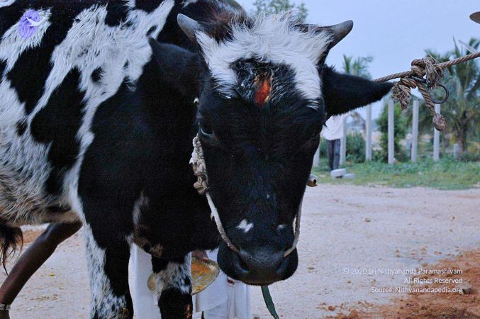 20071008 Photo 79 1if0I4Ay4cHw8CzrP7lMoOoZIbMb0ENvY.jpg