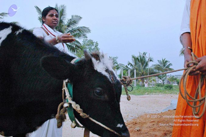 20071008 Photo 81 1XS89x19upzgyK 1XvfMNYdnOBbt2WTC .jpg