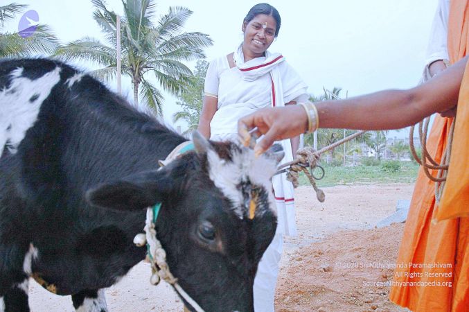 20071008 Photo 82 12oESL7rS8nu6AlQvV3MDC8Hvc-K4aF0M.jpg