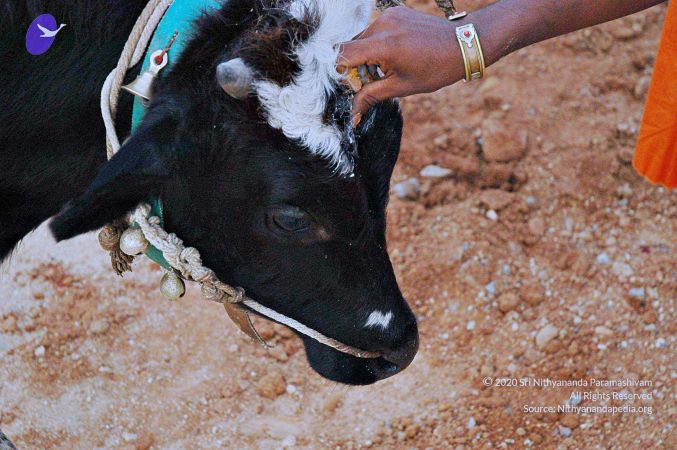 20071008 Photo 83 1Luj9wYe0bbkFq1cEw0IFdeO7TyoVZr7 .jpg