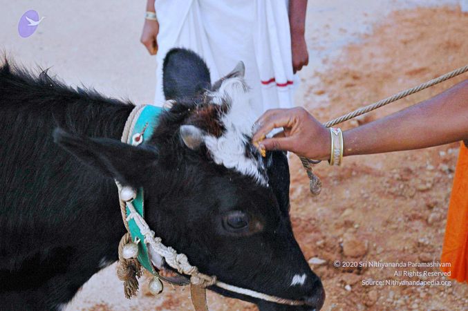 20071008 Photo 86 100Ii0BTlKXg0Gq6gmEx csaZ0zamYEkx.jpg