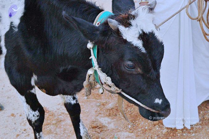 20071008 Photo 91 1ILrYqi48uFslVVWO-H5yd9qcM6h4ozKR.jpg