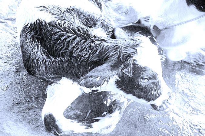 20071014 Photo 21 18m9xoin2af4ZNsHAekA9yT4HJ6KgaPgR.jpg