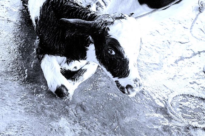 20071014 Photo 23 1xdw4P7IATQvo BUG1yGGIk WFj8F13Eb.jpg