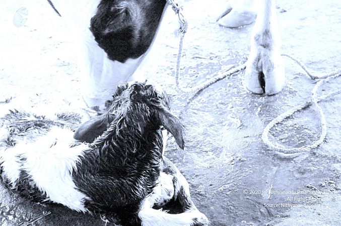 20071014 Photo 28 1pknGckkIpMJJ31bqG8LXz38zzCtFVeuZ.jpg