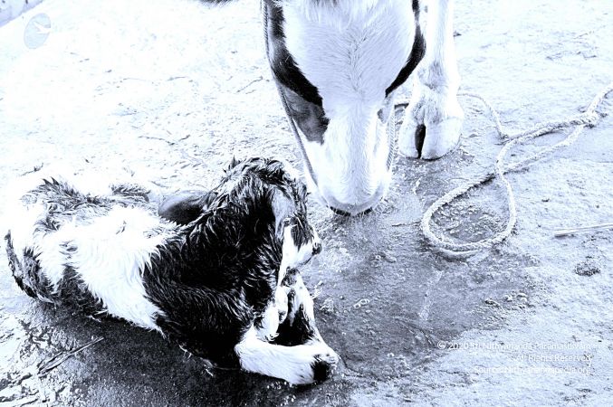 20071014 Photo 33 1U5dCOsxn0SVLtPWUCVIPQ0XJrYZ5JA3U.jpg